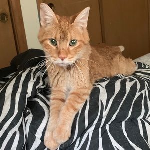 Meet your Posher, William